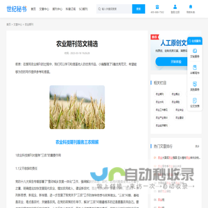 网站截图